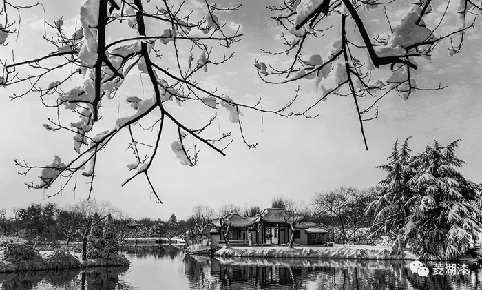 說好的暴雪傾城，是這樣嗎？